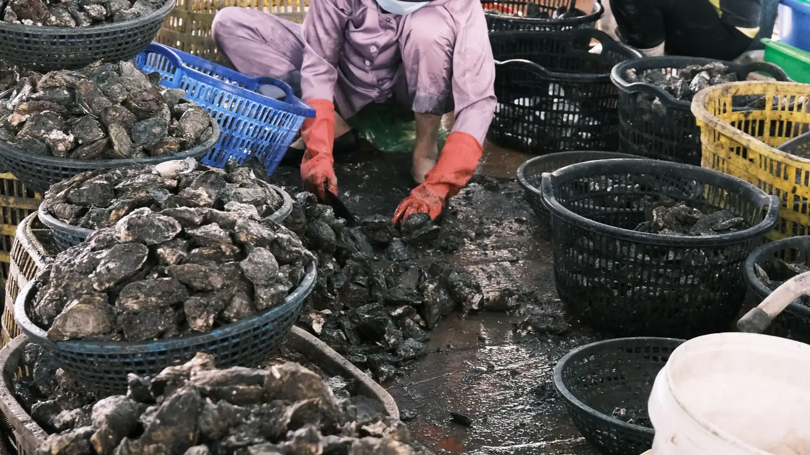 Fish market and seafood distribution background